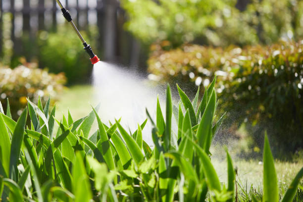 24/7 Emergency Wasp Removal experts in Linn, MO