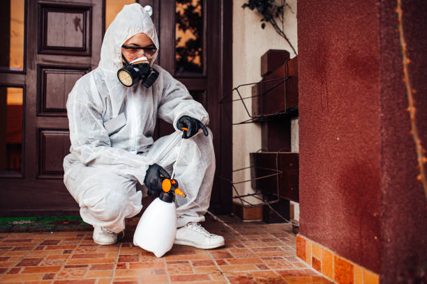 Reliable Wasp Removal contractor in Linn, MO by Show Me Pest Control